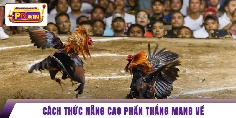 Cách thức nâng cao phần thắng mang về 