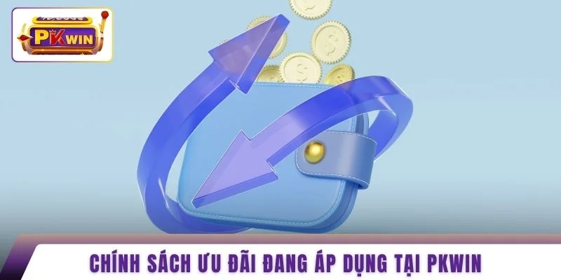 Chính sách ưu đãi đang áp dụng tại PKWIN