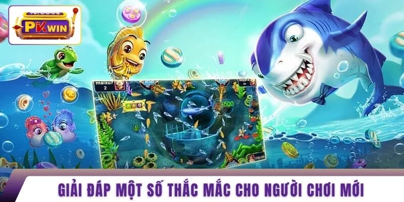 Giải đáp một số thắc mắc cho người chơi mới 